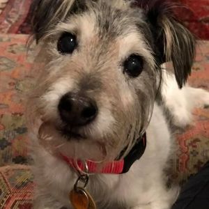 Meet your Posher, Pam